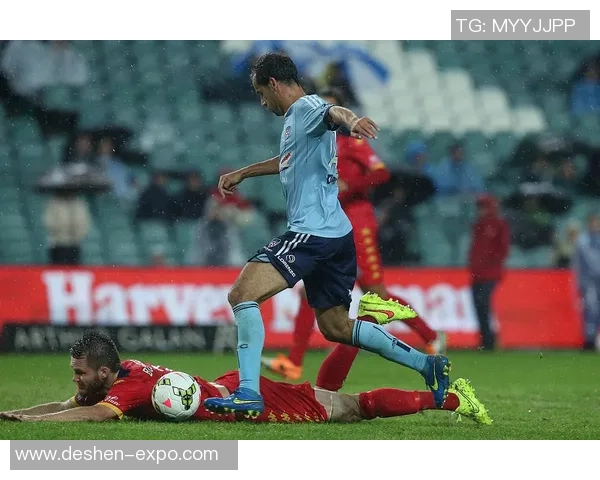 中部海岸海员与悉尼FC激战正酣争夺澳超联赛荣耀之巅